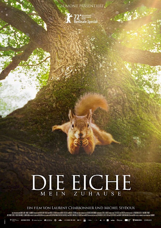 DIE EICHE - MEIN ZUHAUSE