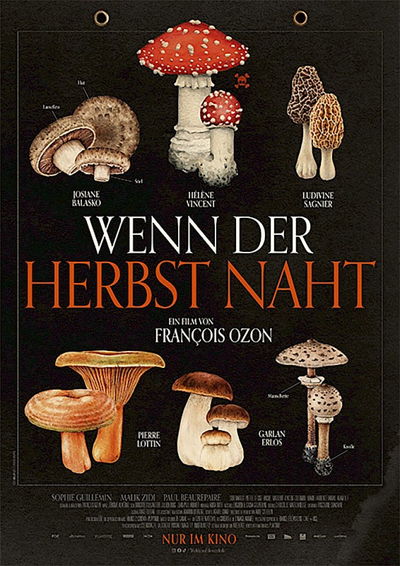 WENN DER HERBST NAHT